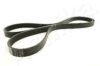 ASHIKA 112-6PK1975 V-Ribbed Belts